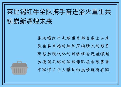 莱比锡红牛全队携手奋进浴火重生共铸崭新辉煌未来
