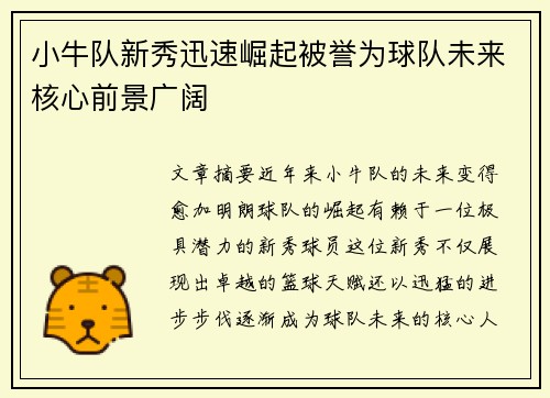 小牛队新秀迅速崛起被誉为球队未来核心前景广阔